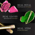 24K Gold Dipped Pink Eternal Rose